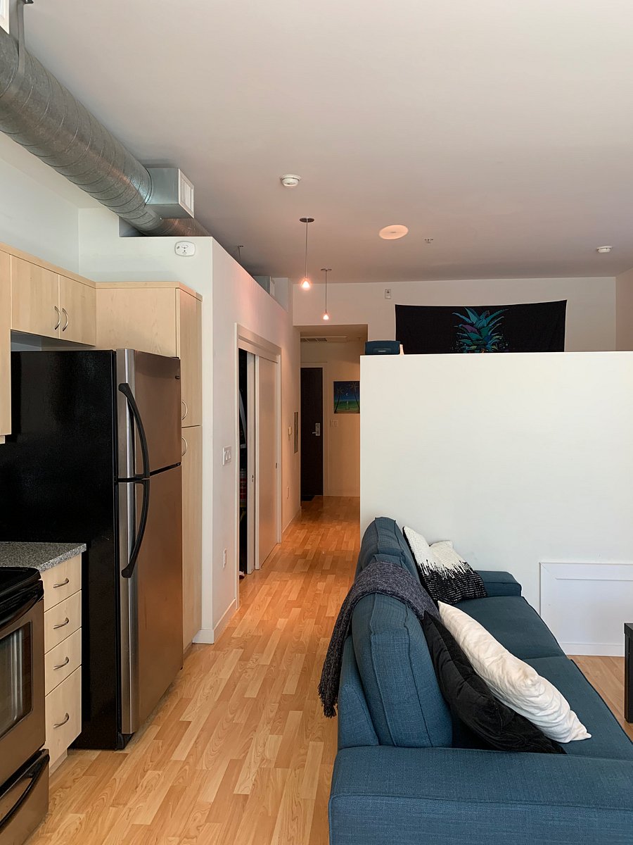 Furnished Finder property 296316_22 photo 3
