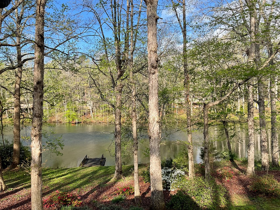 Furnished Finder property 296341_1 photo 11
