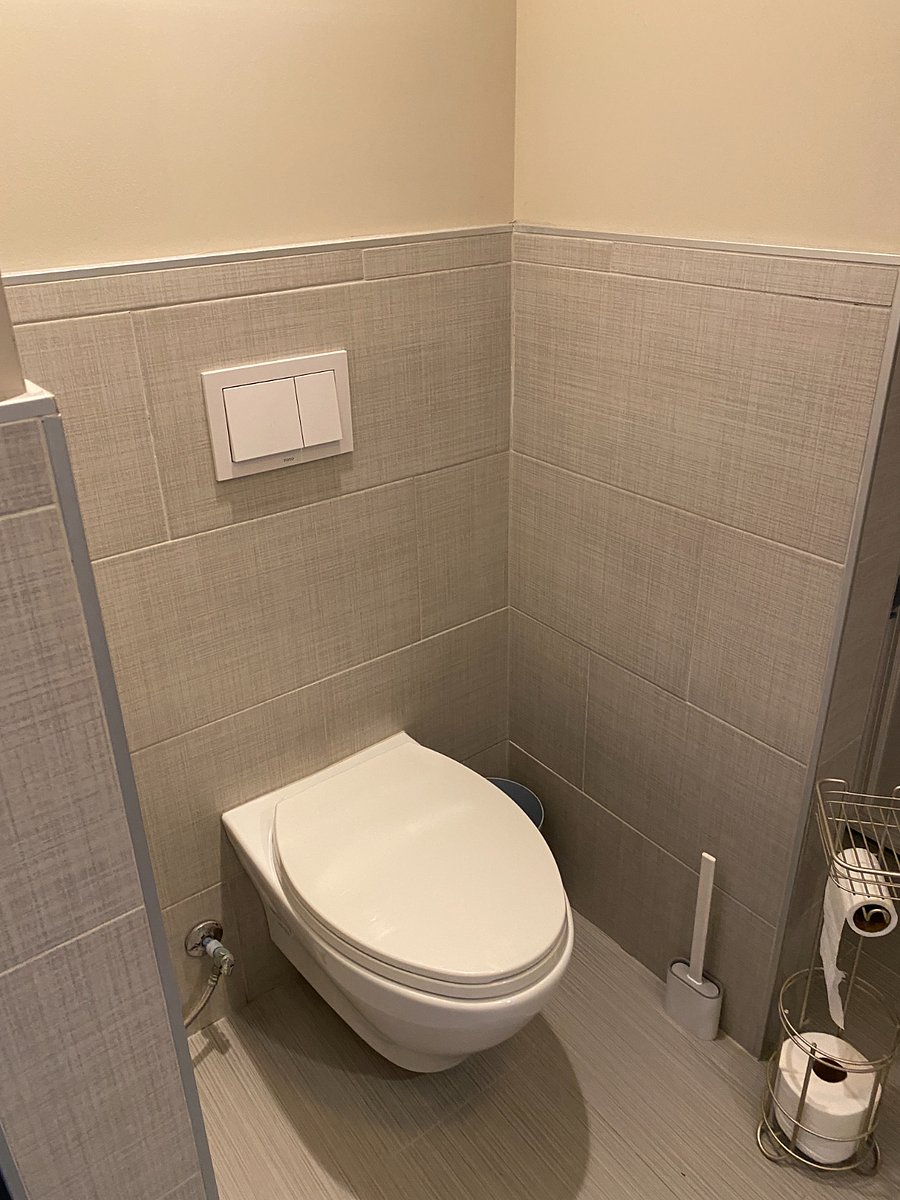 wall hung toilet push button