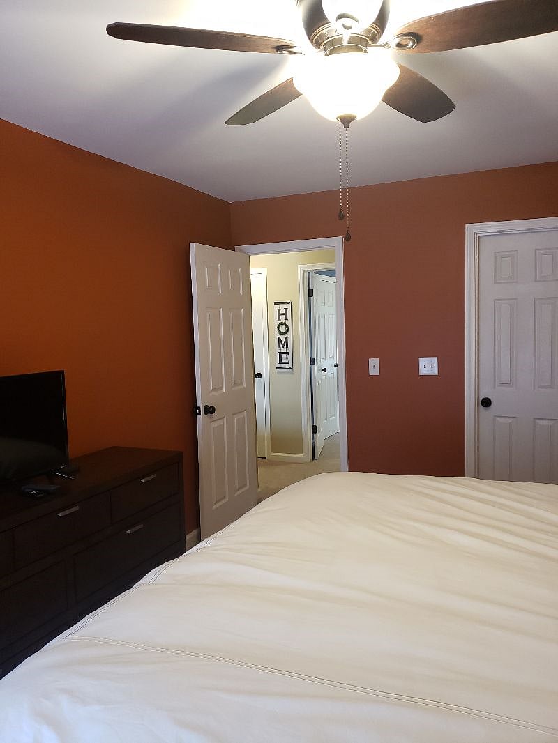 Furnished Finder property 296542_1 photo 16