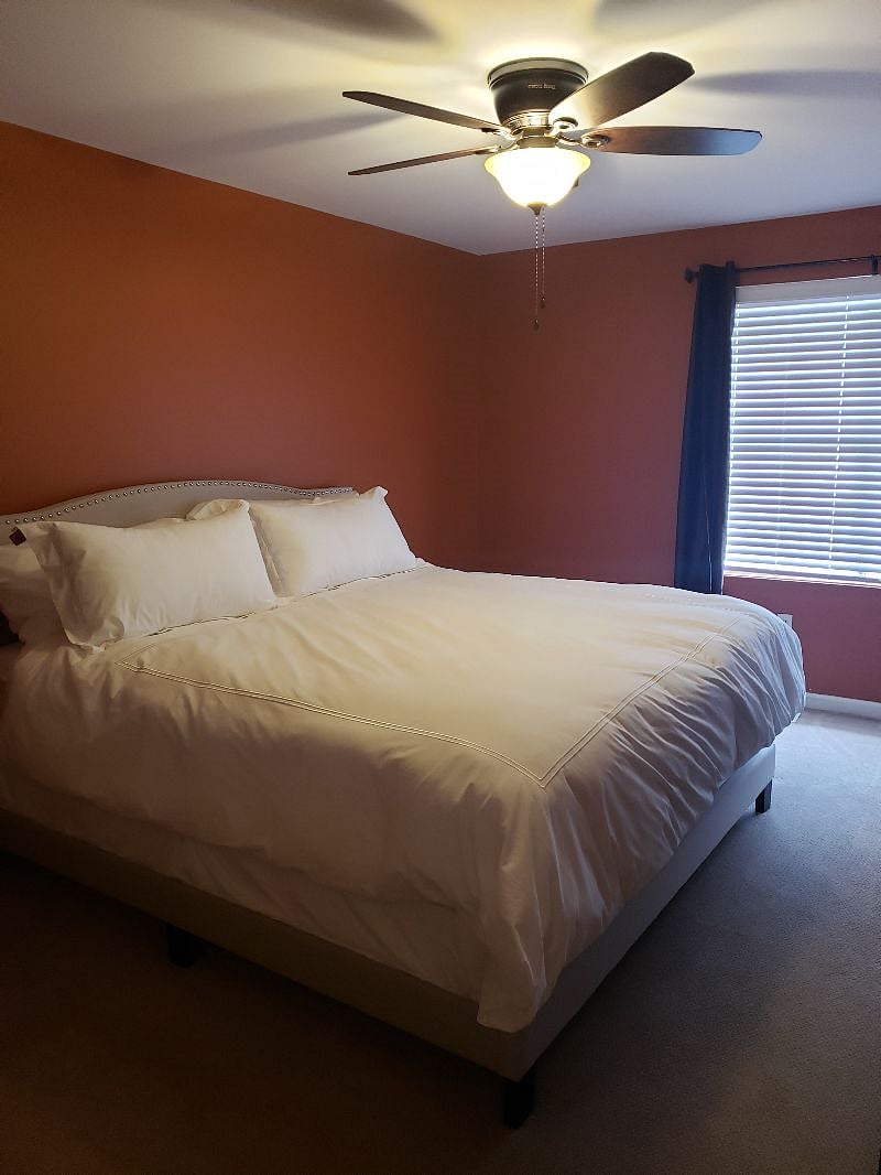 Furnished Finder property 296542_1 photo 18