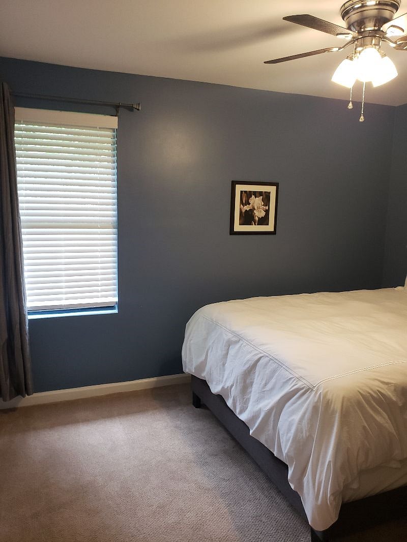 Furnished Finder property 296542_1 photo 26