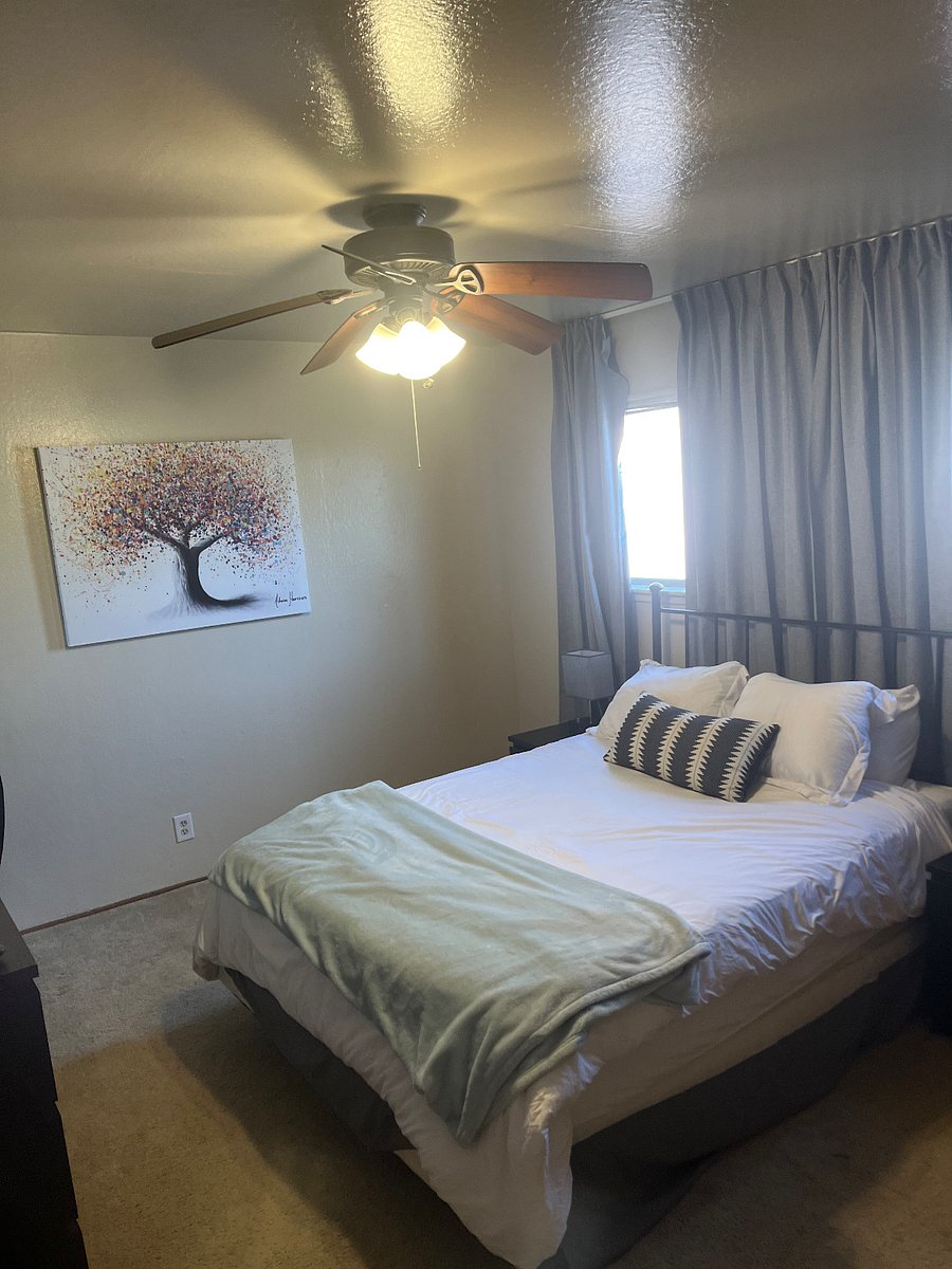 Furnished Finder property 296551_1 photo 19
