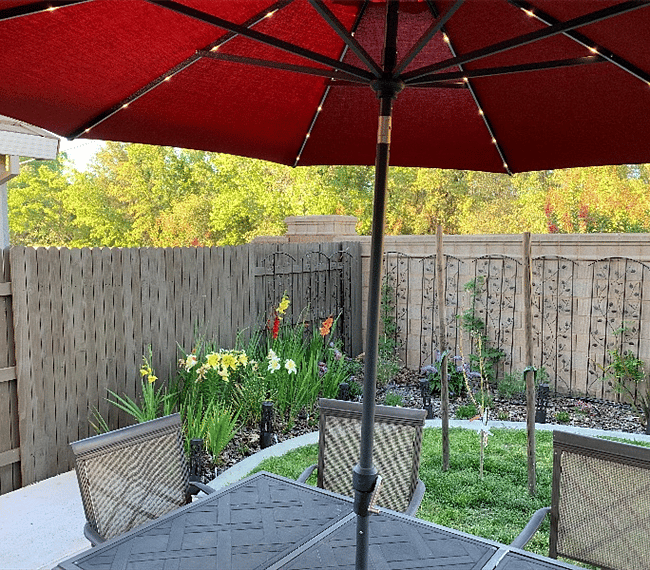Furnished Finder property 296660_1 photo 19