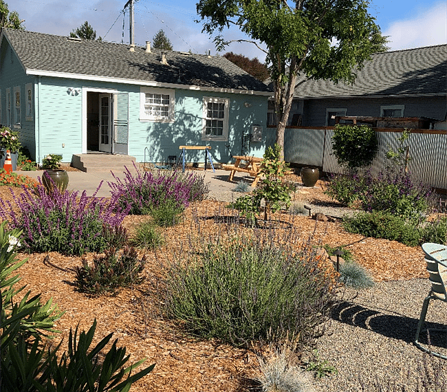 Back Garden