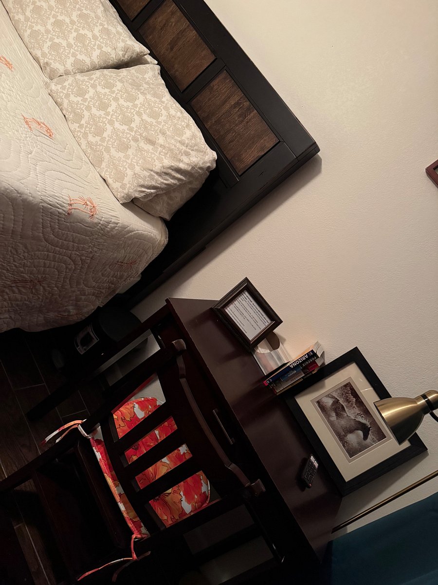Furnished Finder property 296748_1 photo 19