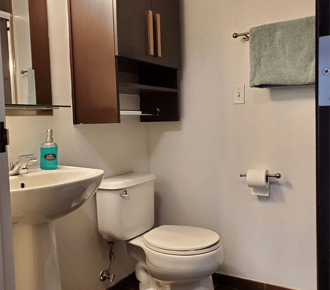 Furnished Finder property 296786_1 photo 9