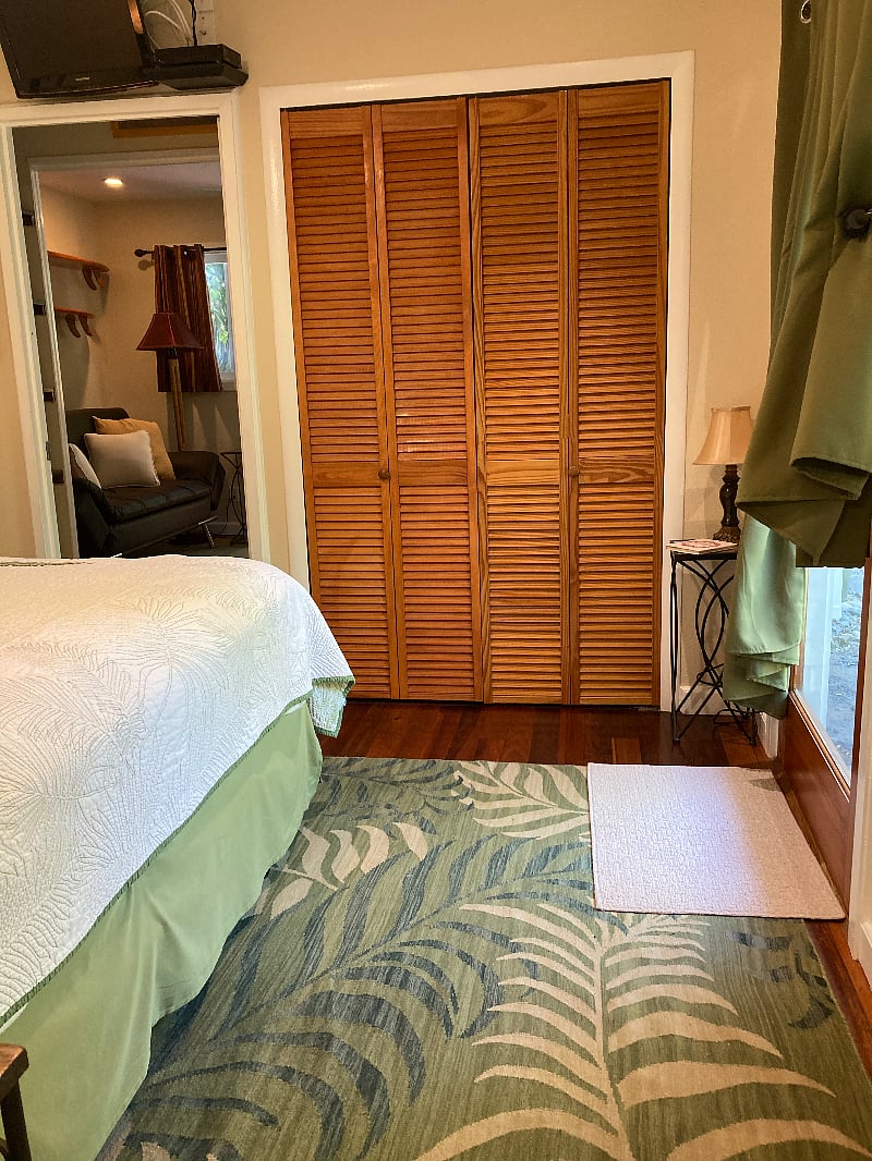 View of the closet in the bedroom.