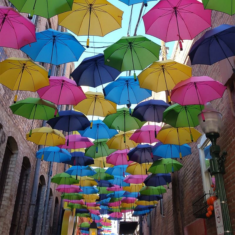Take out your cameras when you take a stroll down "Umbrella Alley".