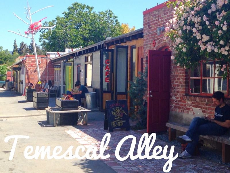 Cute shops in Temescal Alley