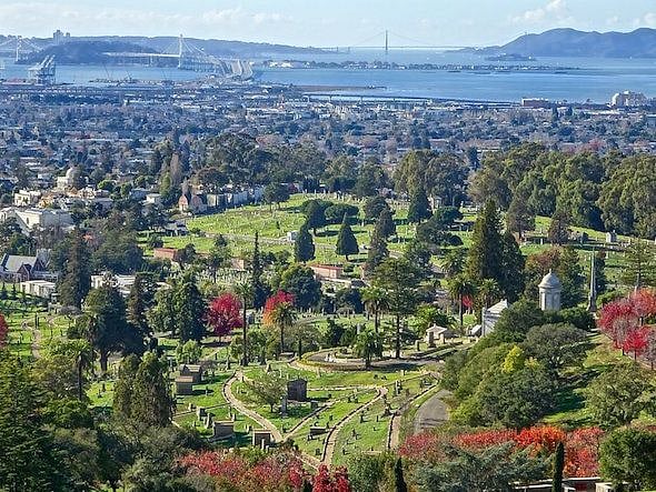 Mountainview Cemetery. Sounds weird but has best views and lots of people walk this "park"
