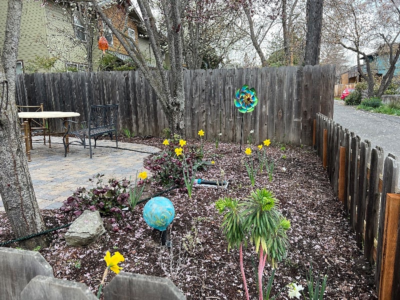 spring flowers.