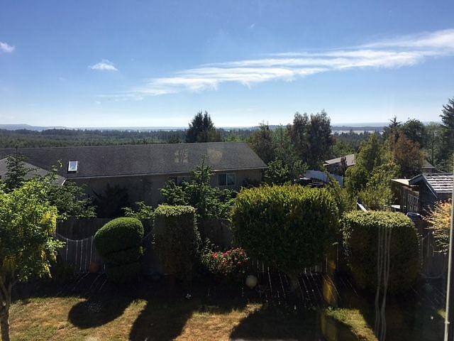 Backyard view