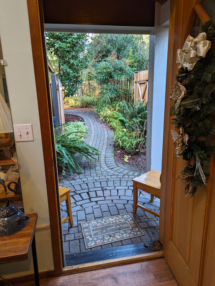 looking out the entry door