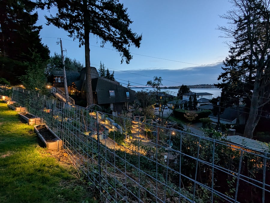 neighbors down our road have given us a perfect view across fairyland and Lake Washington