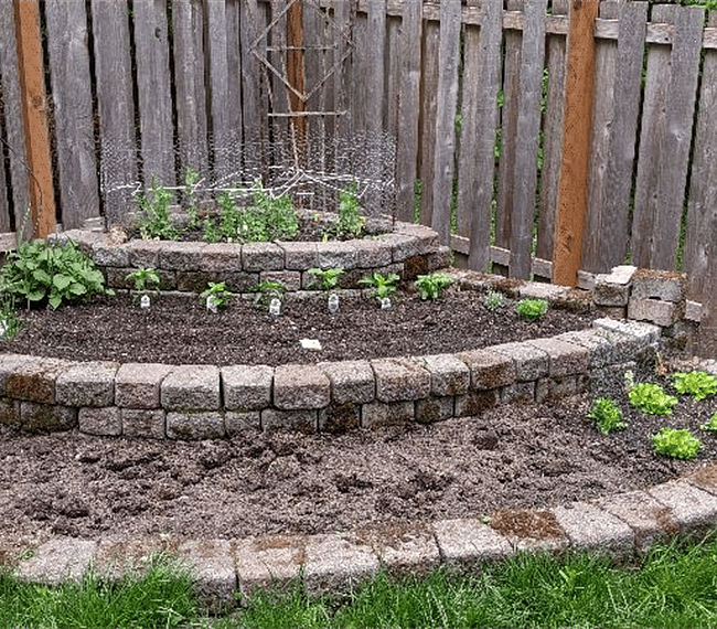 Veggie garden starting up. If here in summer, join the garden!