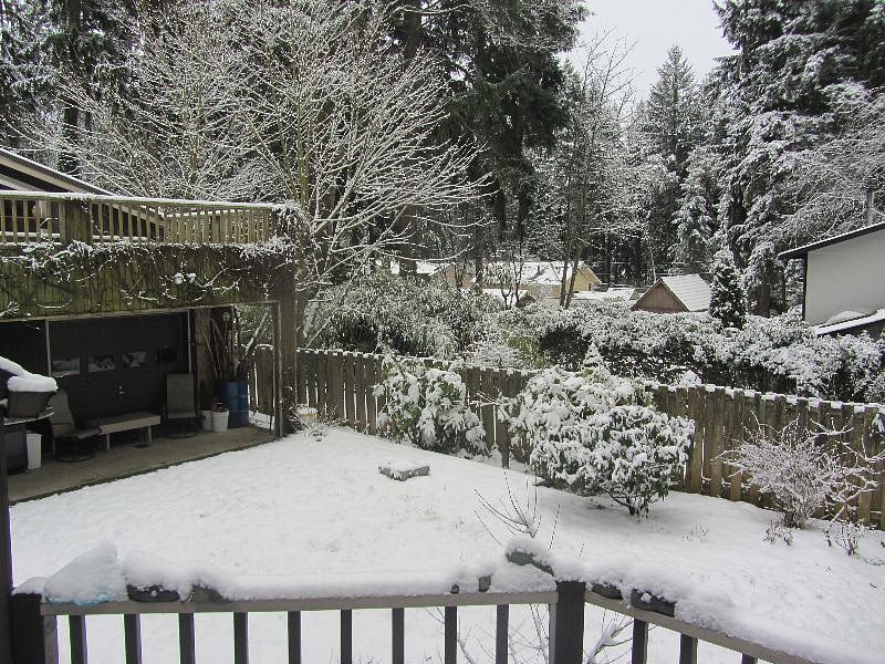 Sometimes it snows.