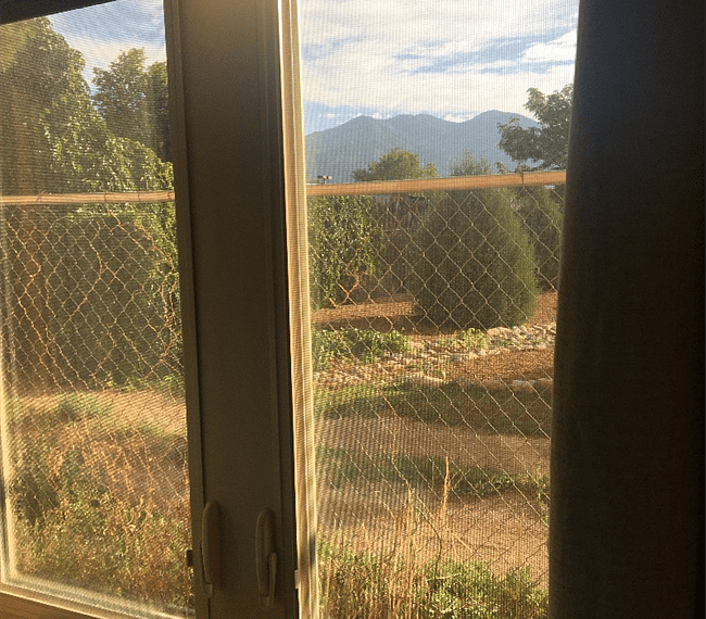 view from the bedroom