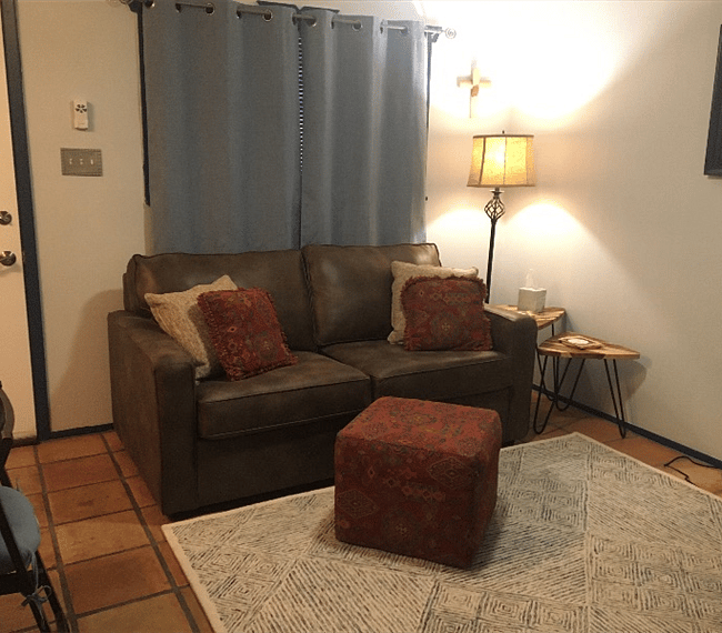 full size fold out sofa with smart TV