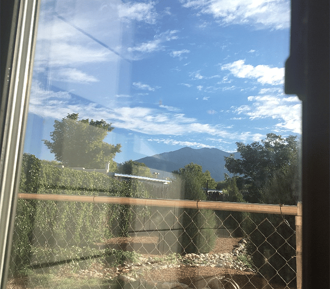 view from the shower