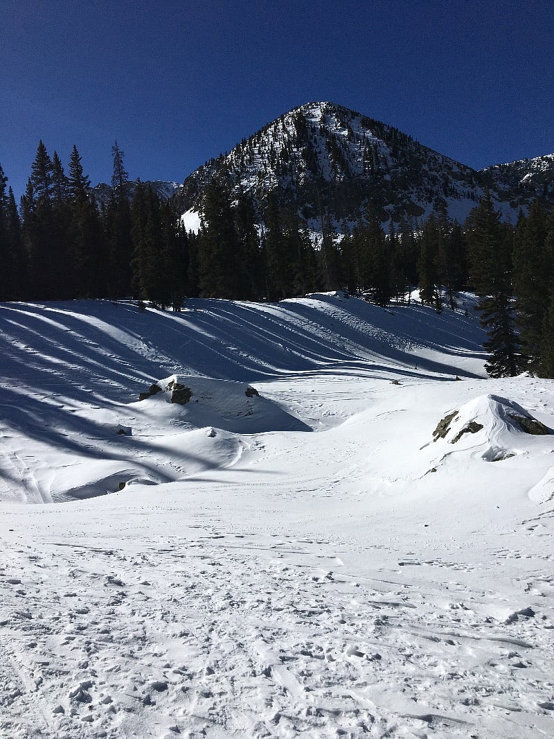 Showshoeing trail in winter, hiking trail in spring, summer and fall