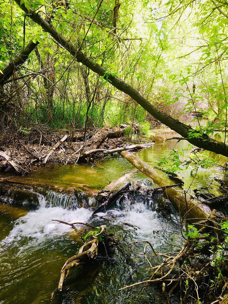 hiking trail a 5 min drive from Comfy condo
