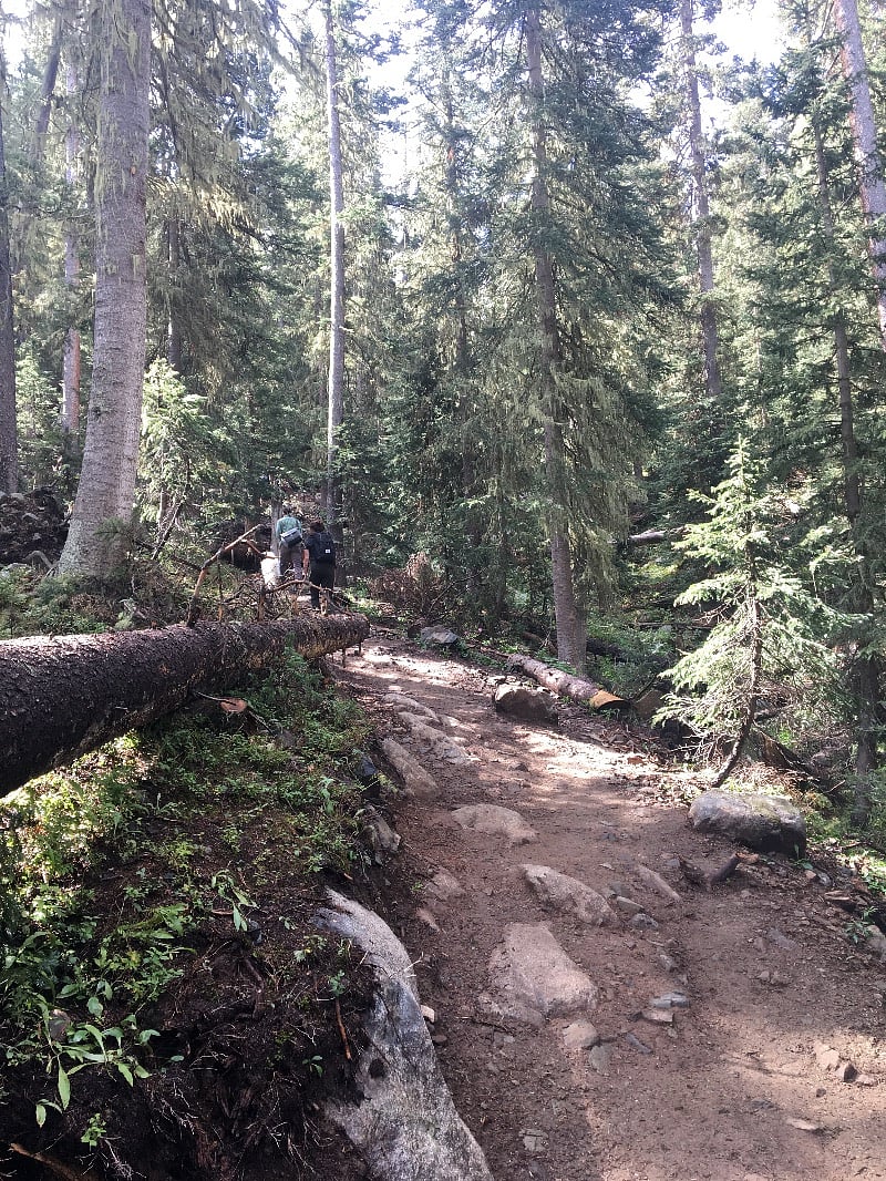 Rim trail