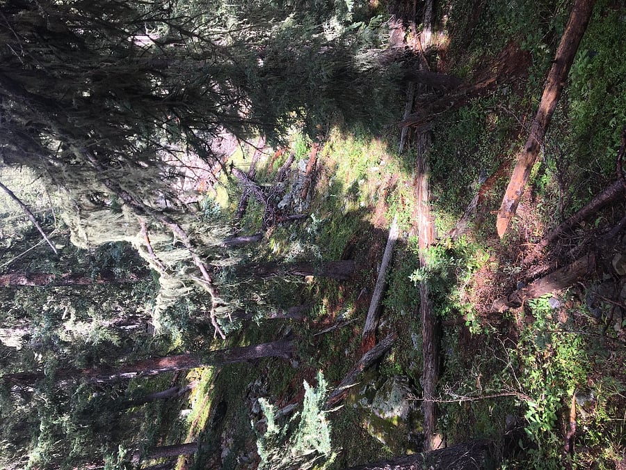 Rim trail