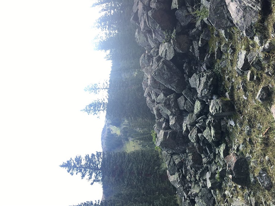 Williams Lake Trail