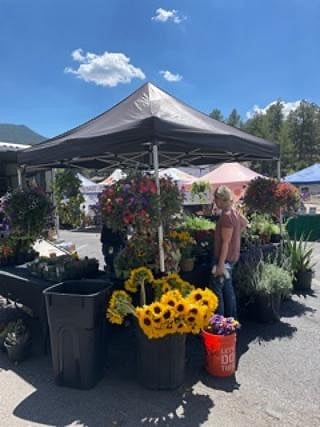 There are many fabulous Farmers' markets nearby and the bird sanctuary is 5 minutes away use the trail to walk there!
