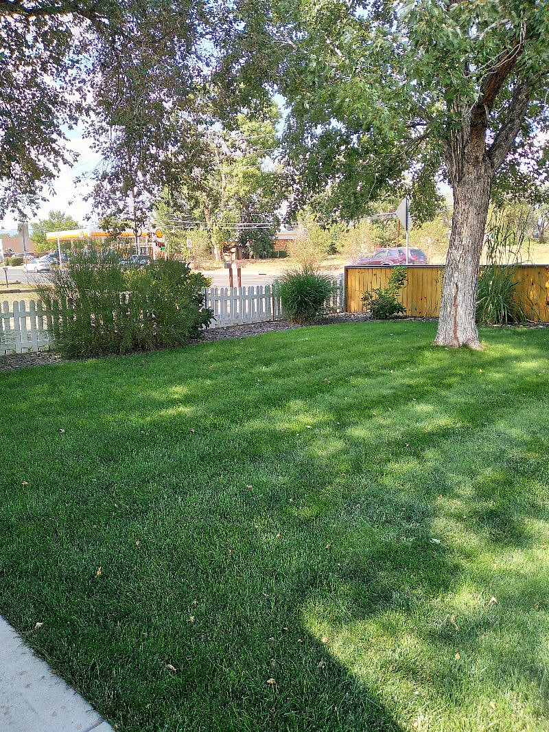 Private grass area.