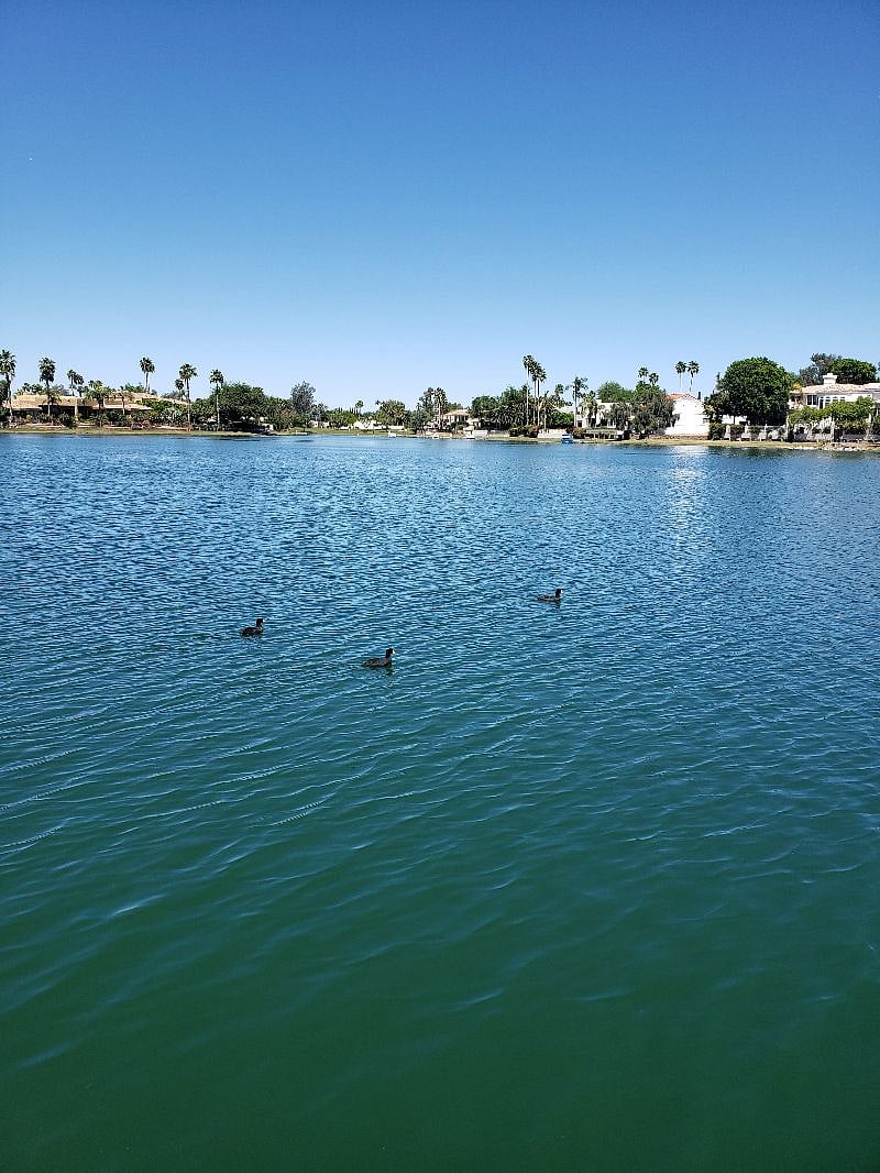 McCormick Ranch pond