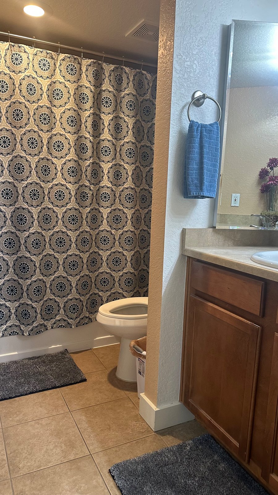 Furnished Finder property 297599_1 photo 29