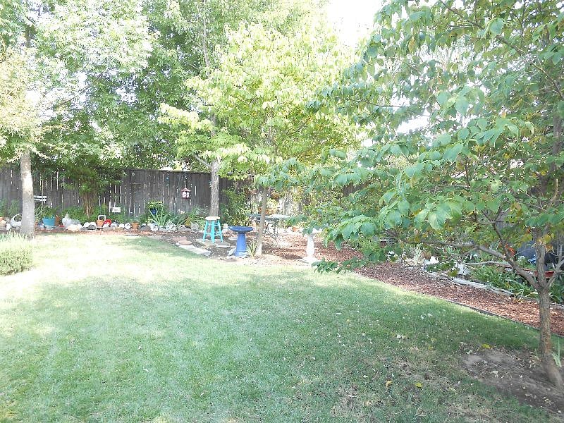 bird baths and feeders