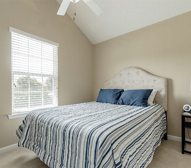 Furnished Finder property 297789_1 photo 13