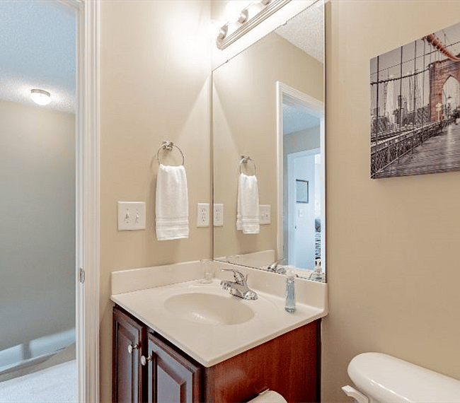 Furnished Finder property 297789_1 photo 16