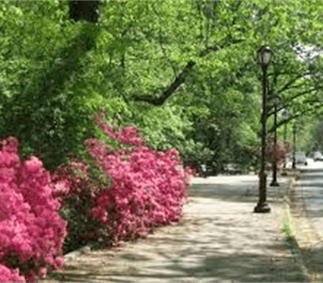 Hilcrest neighborhood