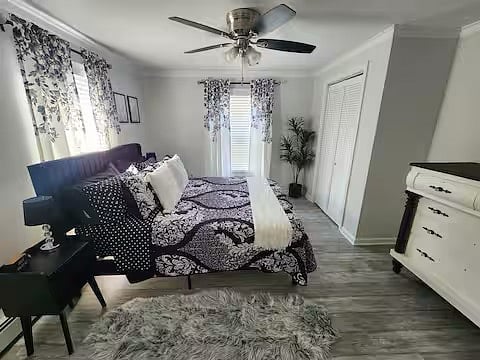 Furnished Finder property 297836_2 photo 3