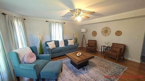 Furnished Finder property 297836_2 photo 5