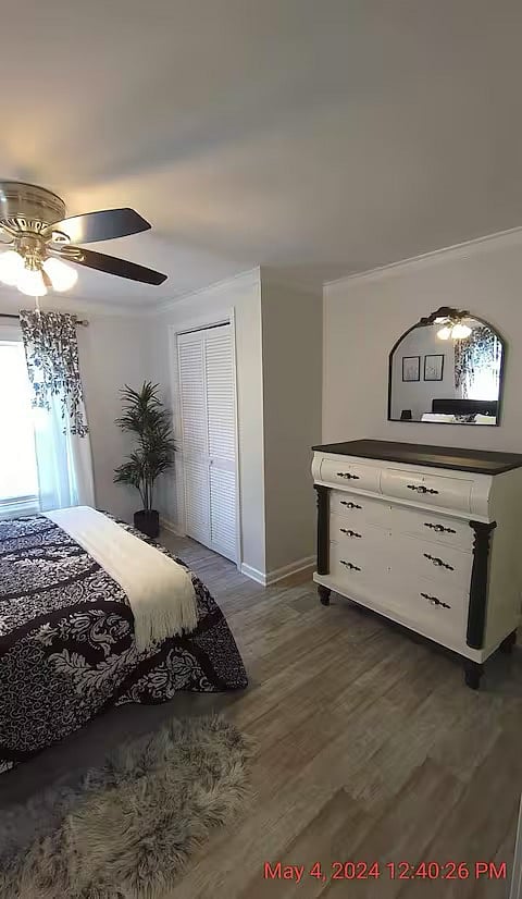 Furnished Finder property 297836_2 photo 8