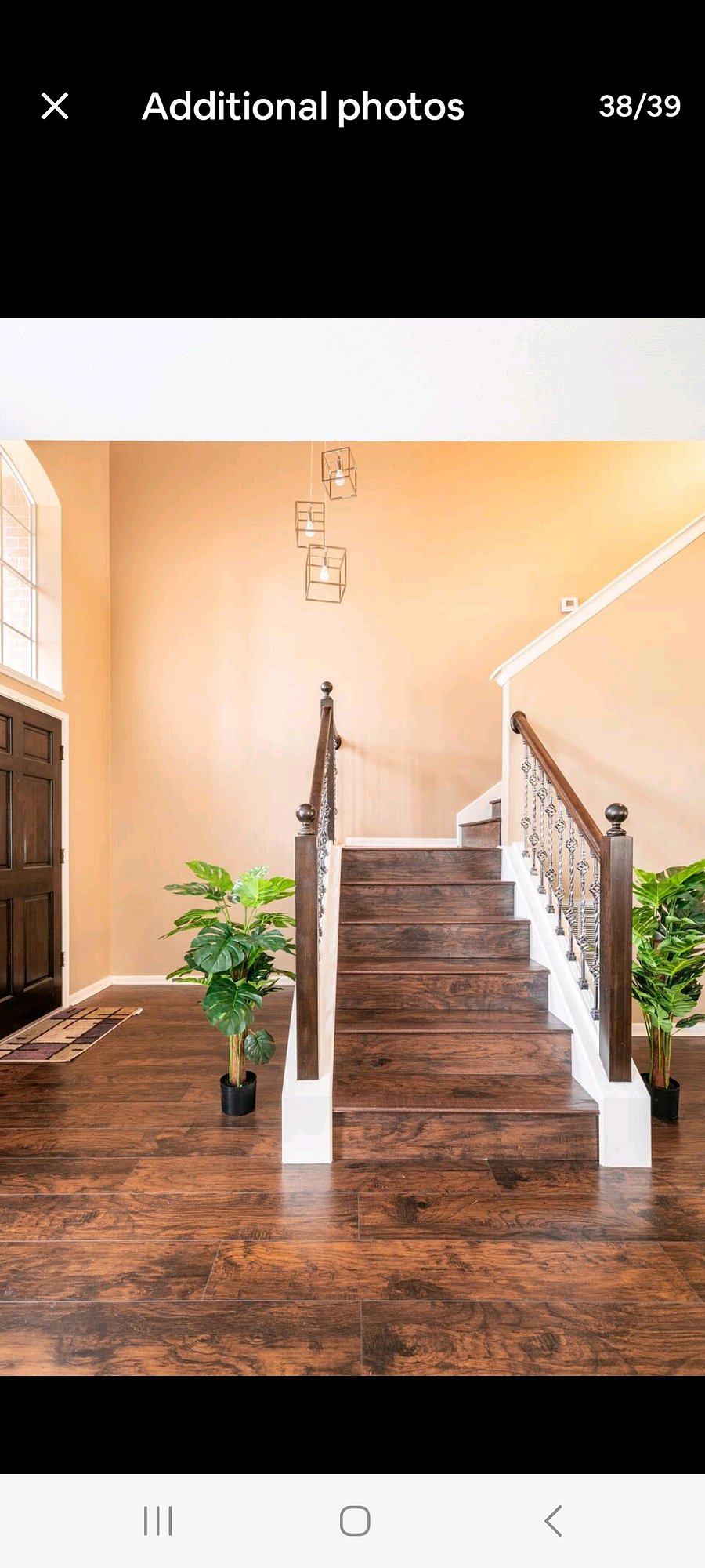 Furnished Finder property 298050_1 photo 15