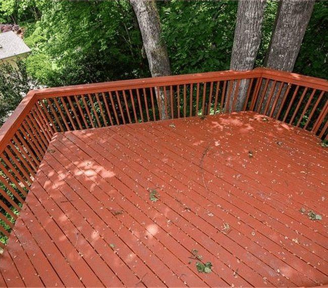 Furnished Finder property 298052_1 photo 51