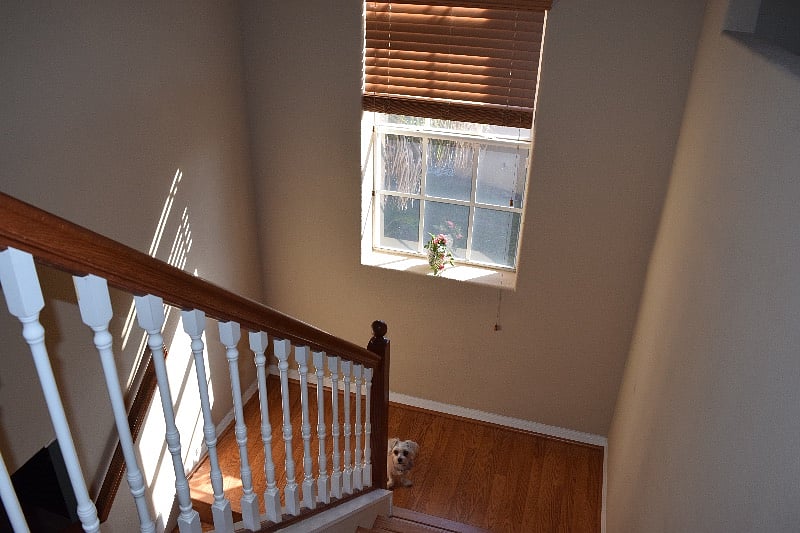 Furnished Finder property 298079_1 photo 6