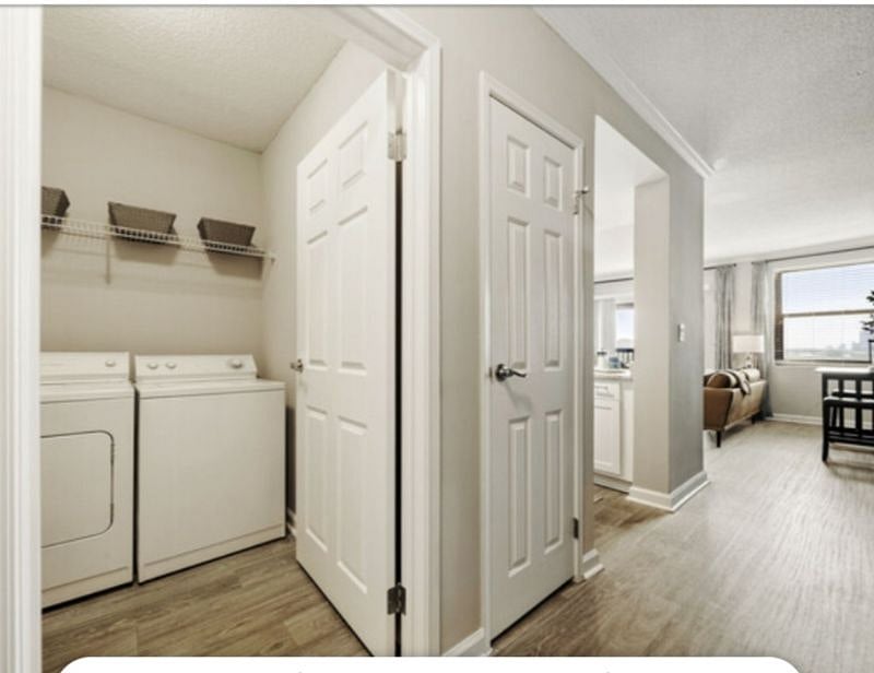 Furnished Finder property 298127_1 photo 3