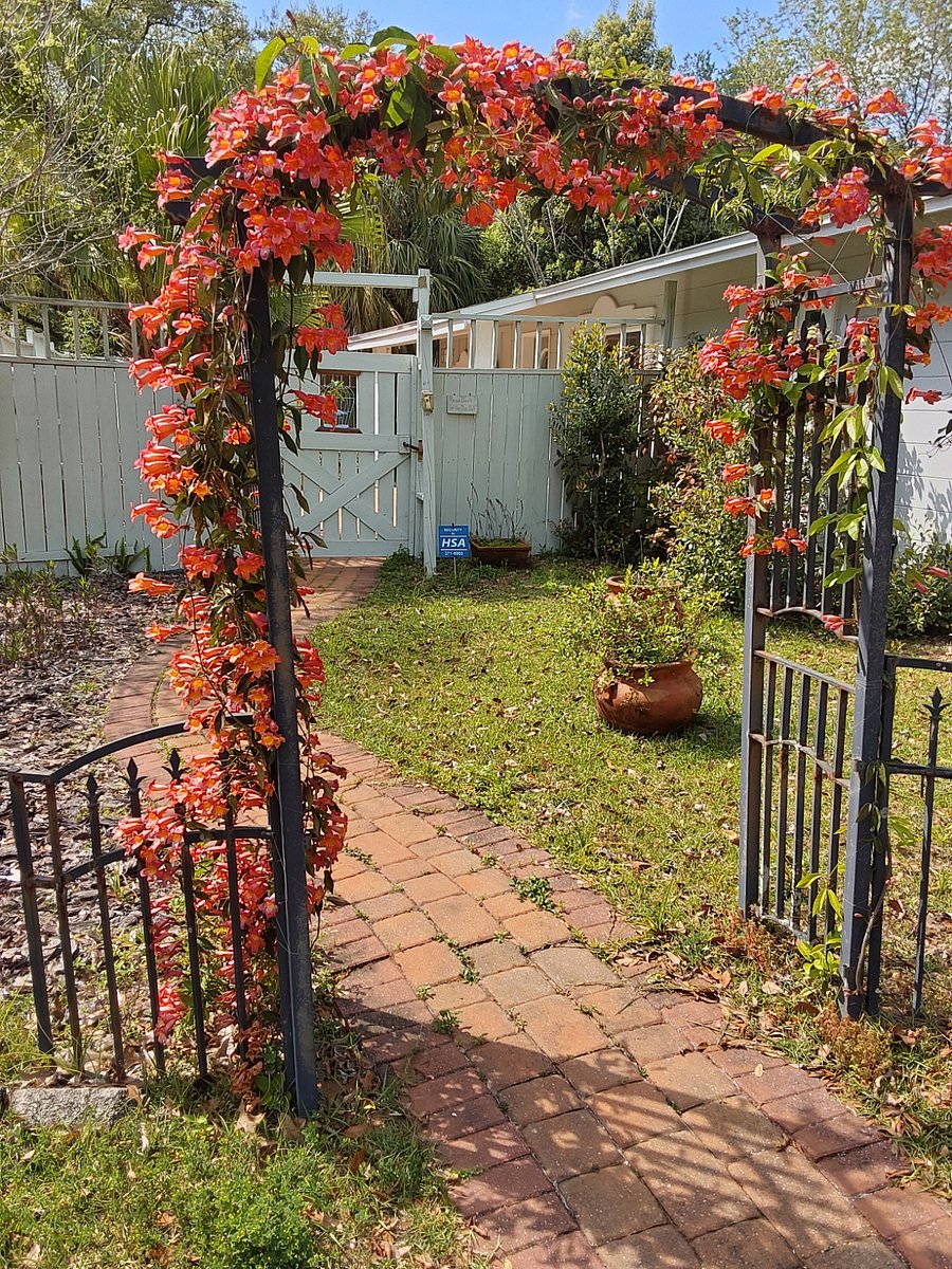 Furnished Finder property 298315_1 photo 3