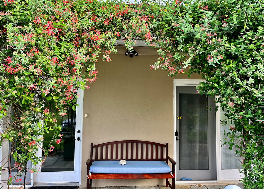 Furnished Finder property 298330_1 photo 3