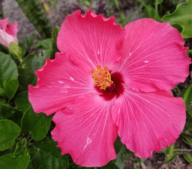 Beautiful Florida!