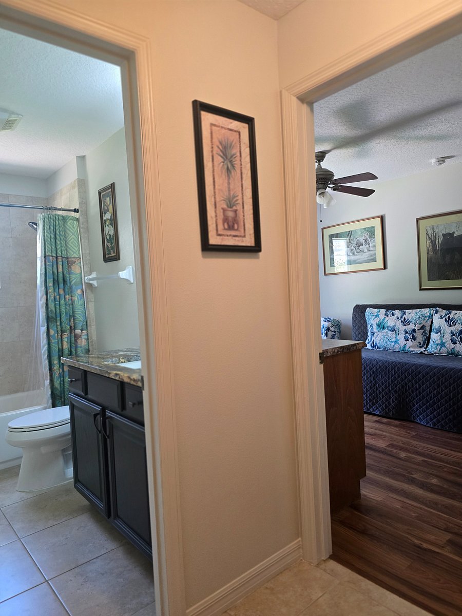 Furnished Finder property 298388_1 photo 8