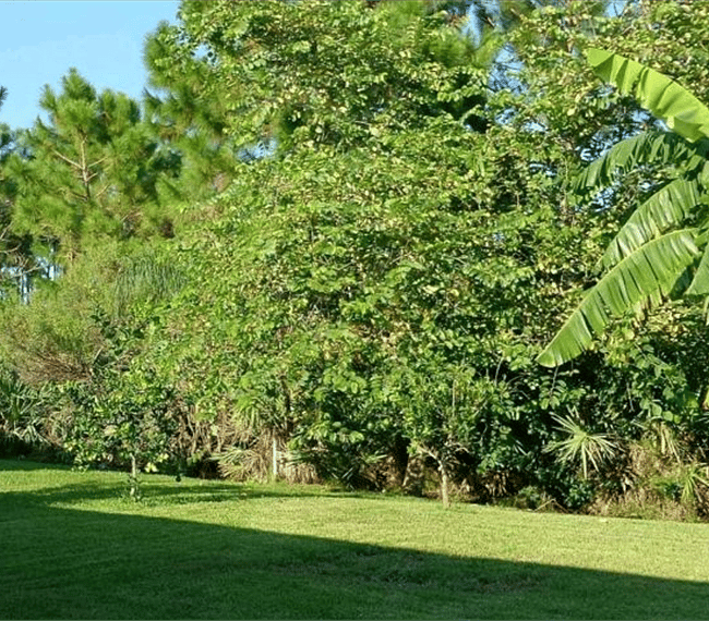 Furnished Finder property 298388_1 photo 12