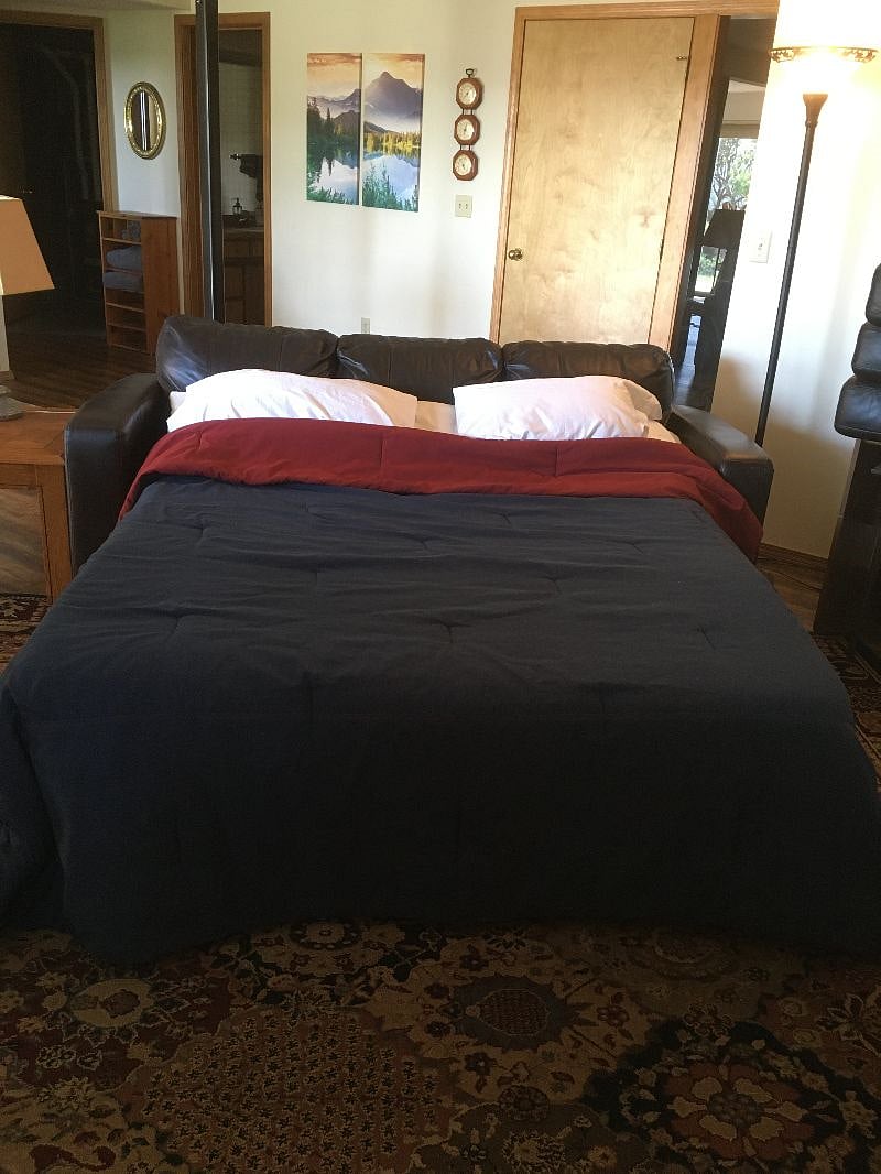 Livingroom queen sofa bed